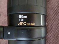 P1020275.JPG