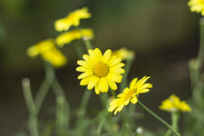 IMG_0028-2.jpg