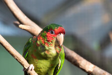 Tierpark Gettorf-48.jpg