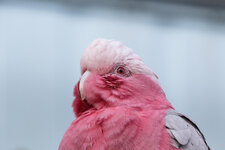 Tierpark Gettorf-67.jpg