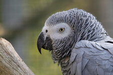Tierpark Gettorf-69.jpg