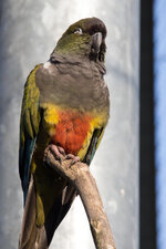 Tierpark Gettorf-58.jpg