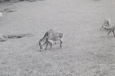 kentmere100_x370s-9506.jpeg
