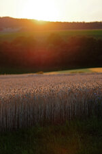 DSCF8830.jpg