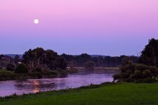 DSCF8853.jpg