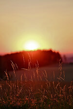 DSCF8844.jpg