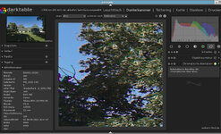 Darktable-not-ok.jpg