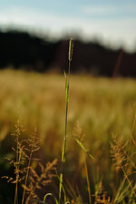 DSCF8535.jpg