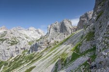 comp_IMG_4574-2.jpg