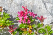 comp_IMG_4786-2.jpg