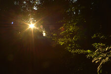 DSE_3273.jpg