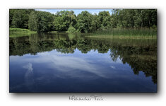 20160711-MG_0991_mehlbacher_teich.jpg