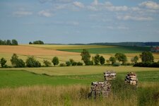 DSCF8571.jpg