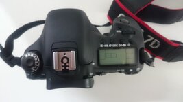 DSC_5669.JPG