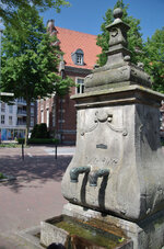 IMGP6261.JPG