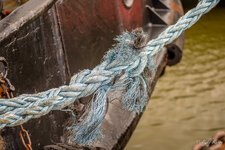 01-NIKON D800-1_250 Sek. bei f _ 3.5.jpg