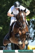 comp_2016_07_10_164524_D50_3519.jpg