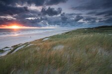 IMG_0747rawOOC.JPG