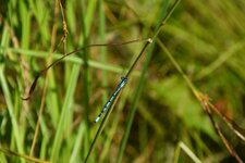 comp_DSC_1497-2.jpg