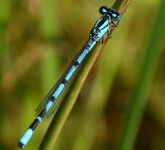 comp_DSC_1497-2-2.jpg