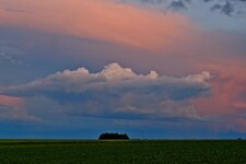 DSCF8328.jpg