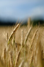 DSCF8560.jpg