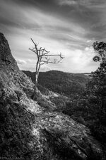 IMGP4919-2.jpg IMGP4919-2.jpg