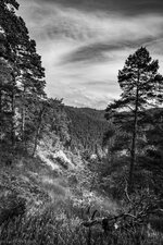 IMGP4917-4.jpg IMGP4917-4.jpg