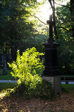 IMG_1787.jpg