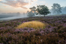 HL5_6483-HDR-Bearbeitet.jpg