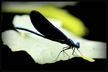 verkl_E-IMG_9608.jpg