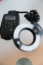 1DX_0273.jpg