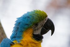 IMG_3822_1.jpg