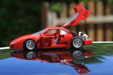 IMG_8474.jpg