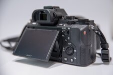 _webSony_a7mk2_ (2).jpg