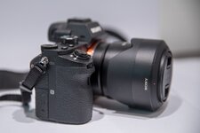 _webSony_a7mk2_ (5).jpg