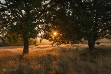 IMG_9148-Bearbeitet-3.jpg