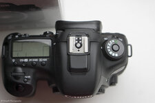 DSC08593.jpg