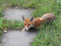 2011-07-22_DSCN0019_r.jpg