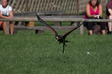 IMG_2070.jpg