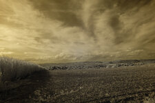 DSCF0304.jpg
