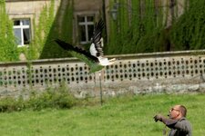 comp_IMG_6014.jpg