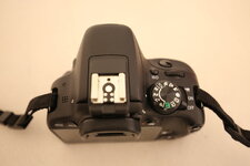 small_FXWE0189.JPG