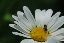 20160619-RX304953.jpg