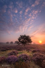 IMG_9321-Bearbeitet-3.jpg