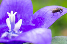 crop-2.jpg