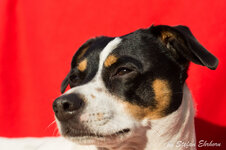DSC02063.jpg