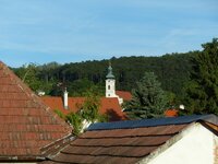 P1020719verkl, 135mm.jpg