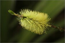 Web_IMG_1497.jpg