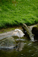 Pipmatz4.jpg Pipmatz4.jpg